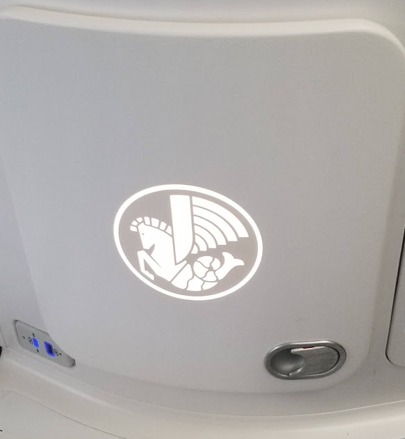 a logo on a plane