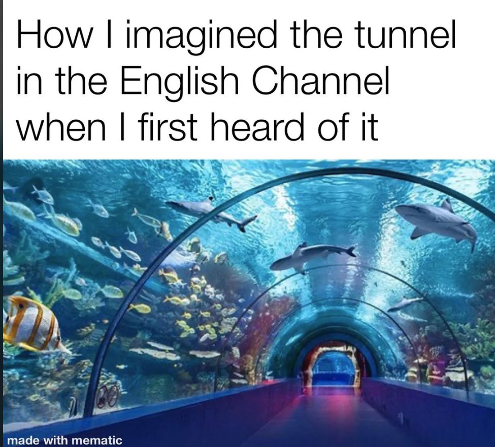 a tunnel with fish and a tunnel with a tunnel
