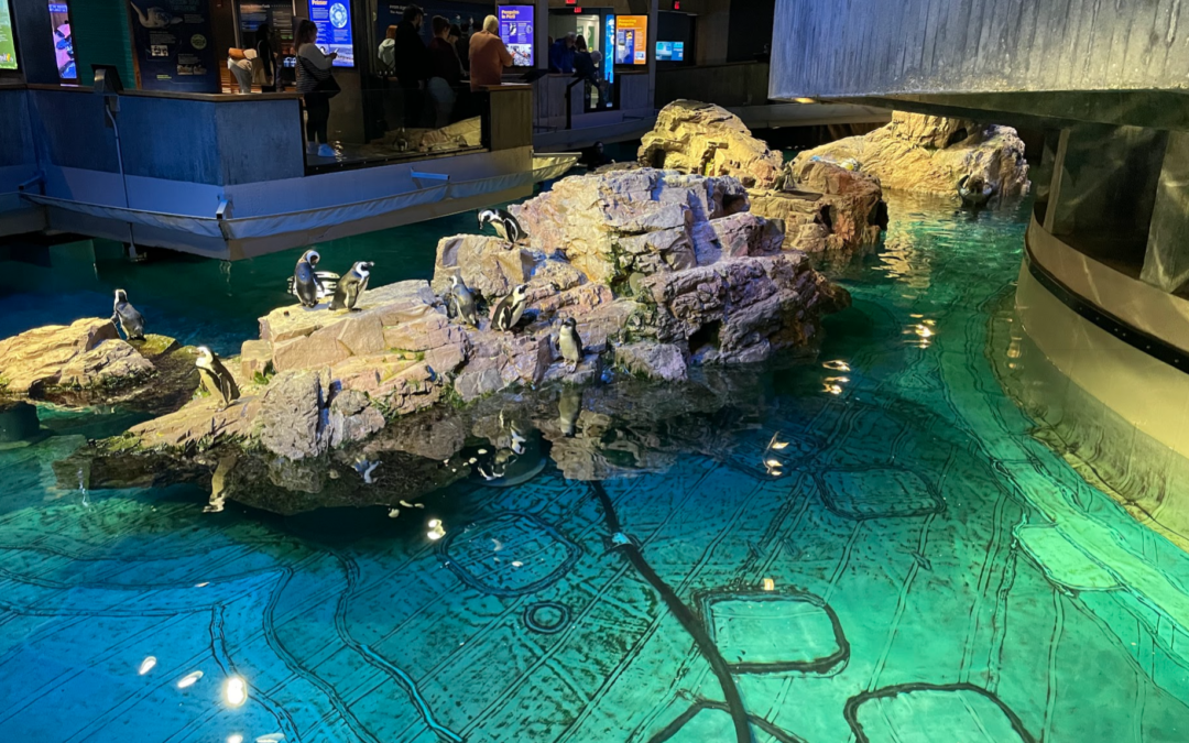 6 things to see in Boston with the Boston CityPASS