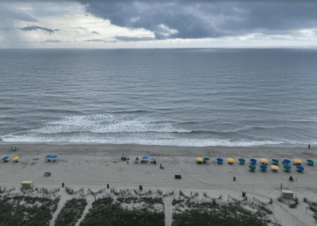 a beach with umbrellas and grass and water