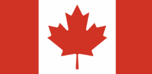 a red maple leaf on a white background