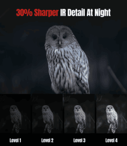 a screenshot of an owl