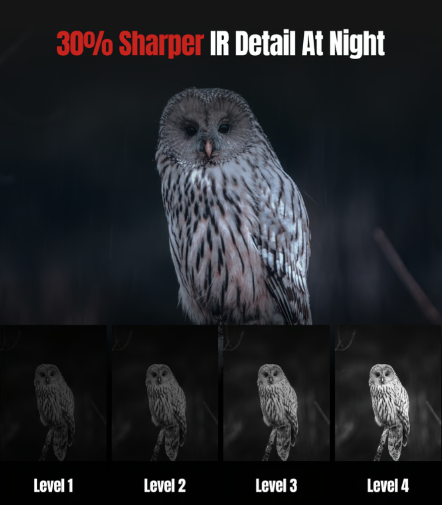 a screenshot of an owl