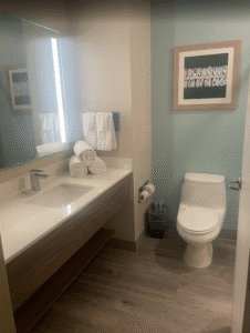 a bathroom with a sink and toilet