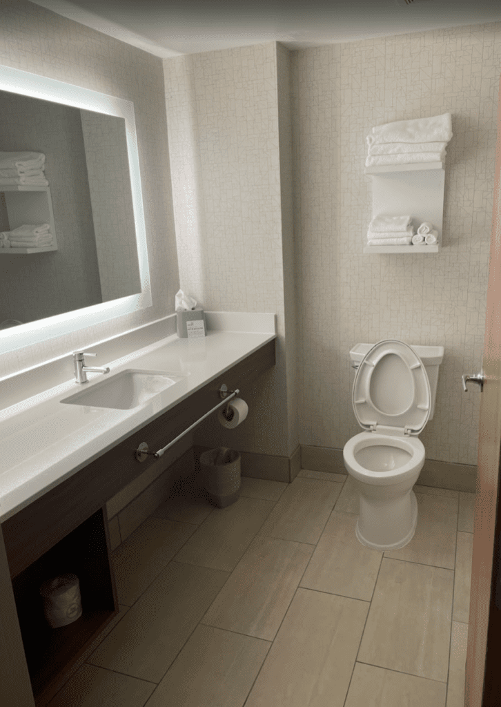 a bathroom with a sink and toilet