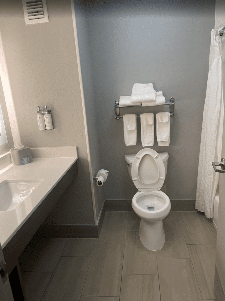 a bathroom with a toilet and sink