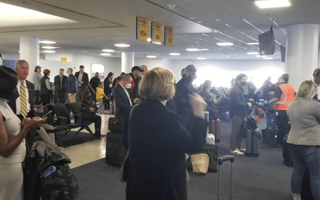 Confession: I’m a “Gate Lice”… and You Should Be Too